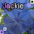 Flowers icon graphics