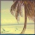 Palm tree icon graphics