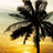 Palm tree