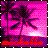 Palm tree icon graphics