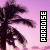 Palm tree icon graphics