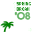 Palm tree icon graphics