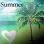 Palm tree icon graphics