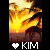 Palm tree icon graphics