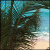 Palm tree icon graphics