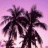 Palm tree icon graphics