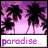 Palm tree icon graphics