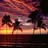 Palm tree icon graphics