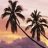 Palm tree icon graphics