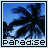 Palm tree icon graphics
