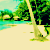 Palm tree icon graphics