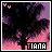 Palm tree icon graphics