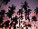 Palm tree icon graphics