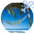 Palm tree icon graphics
