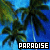 Palm tree icon graphics