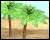 Palm tree icon graphics