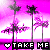 Palm tree icon graphics