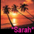 Palm tree icon graphics