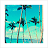 Palm tree icon graphics