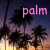 Palm tree icon graphics