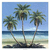 Palm tree icon graphics