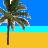 Palm tree icon graphics