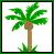 Palm tree icon graphics