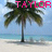 Palm tree icon graphics