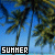 Palm tree icon graphics
