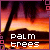 Palm tree icon graphics