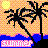 Palm tree icon graphics