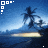 Palm tree icon graphics