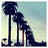 Palm tree icon graphics