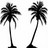 Palm tree icon graphics