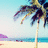 Palm tree icon graphics