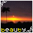 Palm tree icon graphics