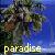 Palm tree icon graphics