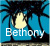 Palm tree icon graphics