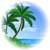 Palm tree icon graphics
