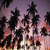 Palm tree icon graphics