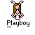 Playboy icon graphics