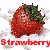 Strawberries icon graphics