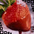 Strawberries icon graphics