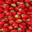 Strawberries icon graphics