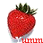 Strawberries icon graphics