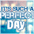 Strawberries icon graphics