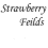Strawberries icon graphics