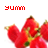 Strawberries icon graphics