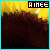 Sunflower icon graphics