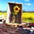 Sunflower icon graphics